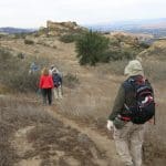 IMG_2847