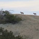 IMG_2902
