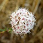 IMG_5891