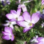 IMG_5919