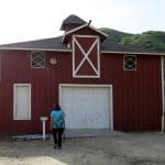 IMG_3131