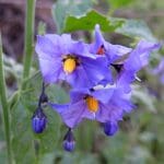 IMG_6035