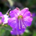 IMG_6047