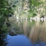 IMG_6095