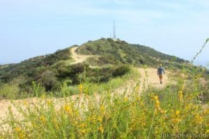 Beaudry Loop