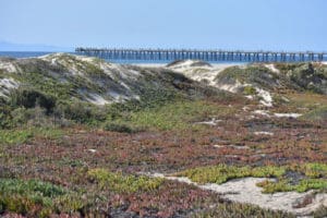 Ormand Beach to the Port Hueneme Lighthouse