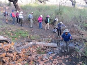 Wildwood Park – Arroyo Conejo Creek, Lynnmere Trail Loop